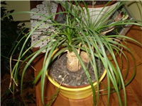 48a3fbd9-Picture 1000.jpg